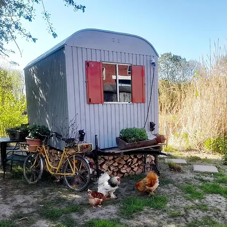 Apartment Uebernachtung Im Bauwagen An Der Nordseekueste